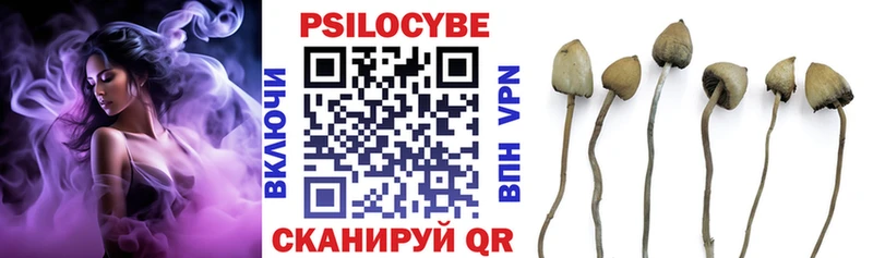 Псилоцибиновые грибы мухоморы blacksprut ссылка Наро-Фоминск хочу наркоту
